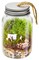 Craft Decor DIY Glass Ornament Jar W/Aluminum Cap 2"x3.35"-Empty